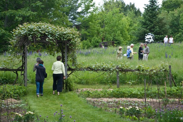 Opening at Hawk Ridge Farm