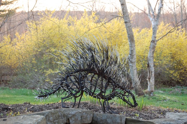 Porcupine by Wendy Klemperer - painted and weathered steel