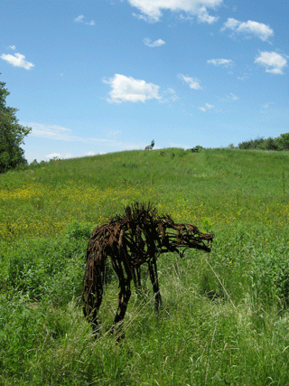 WOLF - Wendy Klemperer 