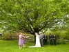 Under the Maple Tree